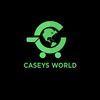 caseysworld